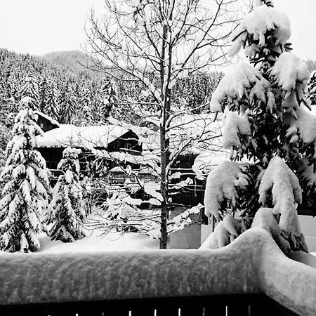 Chalet Berger Chalet